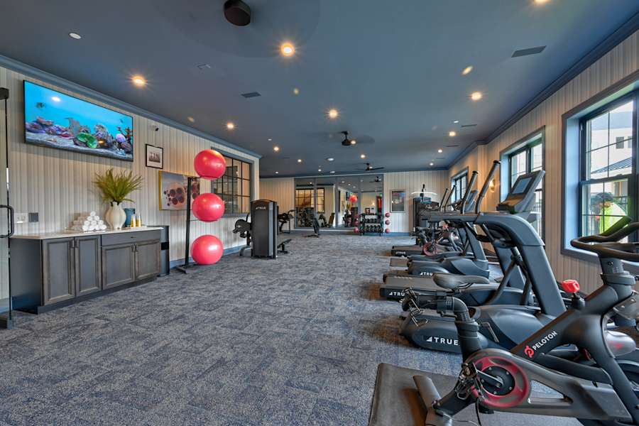 Fitness